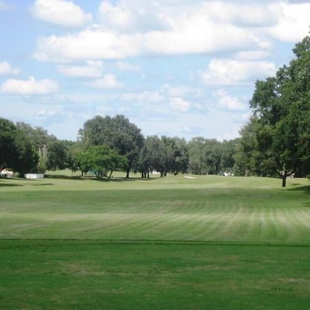Villa House Near Tampa Zoo And Busch Gardens, Free High Speed Wifi Esterno foto