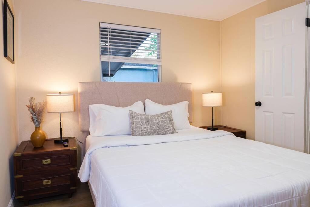 Villa House Near Tampa Zoo And Busch Gardens, Free High Speed Wifi Esterno foto