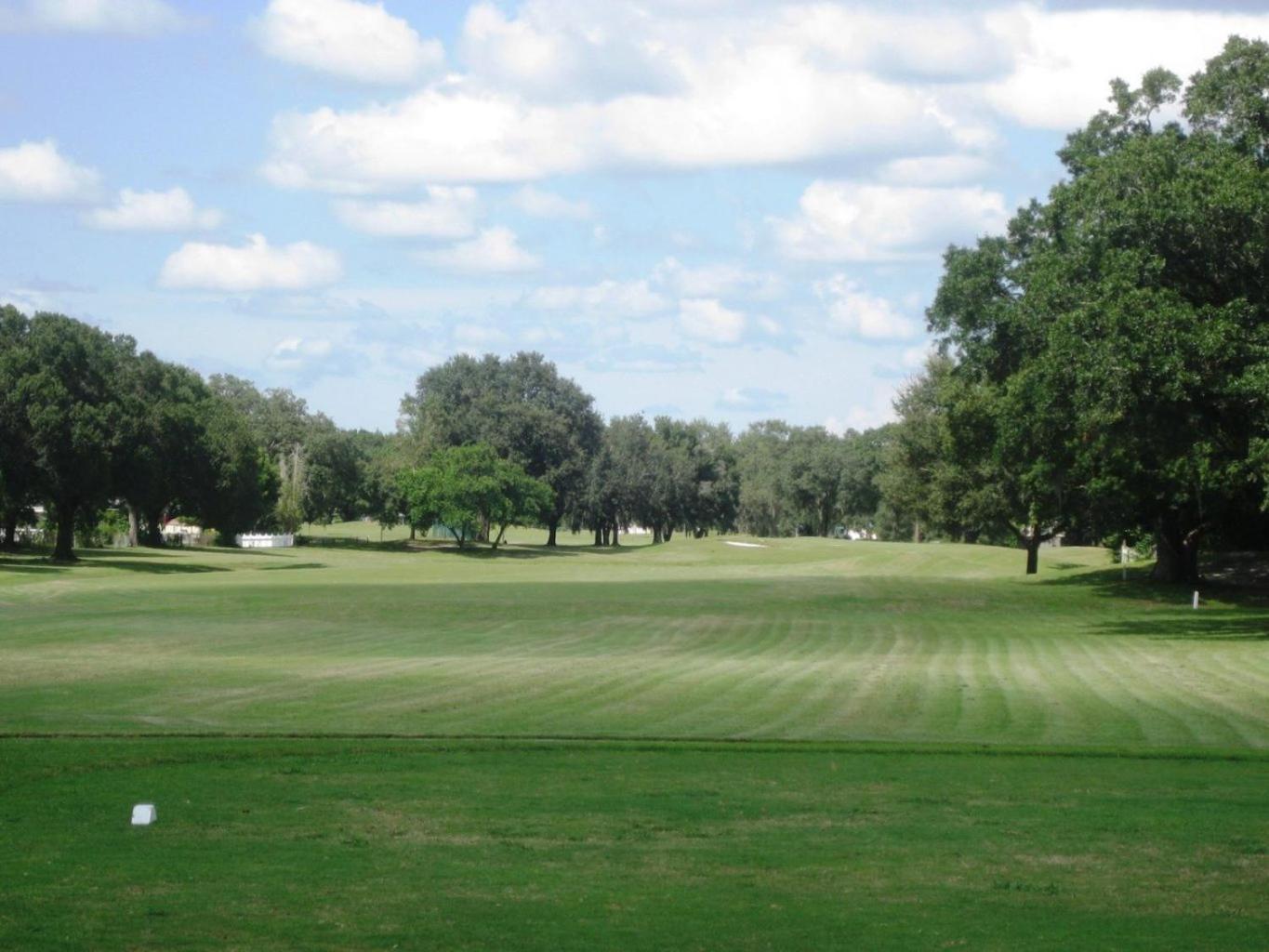 Villa House Near Tampa Zoo And Busch Gardens, Free High Speed Wifi Esterno foto