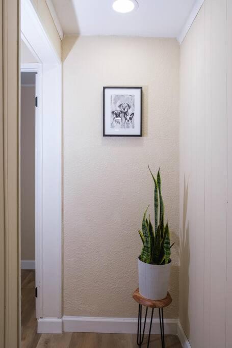 Villa House Near Tampa Zoo And Busch Gardens, Free High Speed Wifi Esterno foto